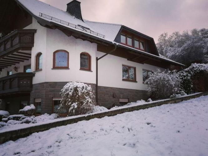 Spacious Flat In Adenau Near The N Rburgring Экстерьер фото